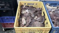 Близо половин тон животински продукти отиват за унищожаване след проверка в Хасково