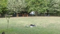 В разбитата от ДАНС секта танцували голо хоро