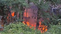 В кадър: Пожар избухна между "Младост" и "Малинова долина"