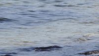 Мъж се удави в морето край Царево