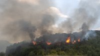 Евакуират село заради огромен горски пожар в Сърбия