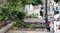 Времето утре: Оранжев код за силни валежи и градушки в 5 области