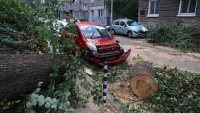 Над 20 сигнала за щети след бурята в Кюстендил