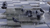 ООН предупреждава, че водният цикъл става все по-екстремен