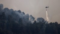 Най-малко 12 души загинаха при горски пожар в Андалусия