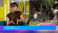 Тревожност и недоверие: Българското общество все по-често се разделя