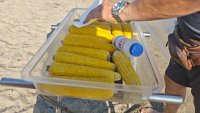 БАБХ затвори над 30 обекта по морето