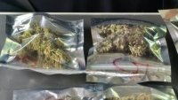Спипаха непълнолетен с канабис и дрогиран шофьор във Великотърновско