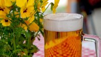 Прозводството на бира намалява, в България то е с 3% по-малко
