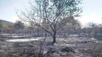 Пожарът в местността Баритна мина край Стара Загора е загасен