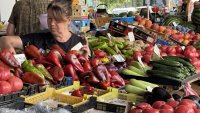 Храните на едро се люшкат: тиквичките поскъпнаха с 18%, ябълките поевтиняха с 13%
