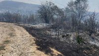 Постройки пламнаха във вилната зона на Мездра (СНИМКИ)