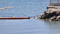 Испанските власти продължават да откриват тела в морето край Сеут