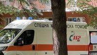 Домашно куче нахапа дете на улица в Казанлък
