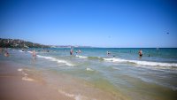 Опасни "месоядни" бактерии в морската вода на Европа заради затоплянето 