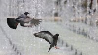 Времето днес: Горещо, но ще има краткотрайни валежи, с гръмотевици