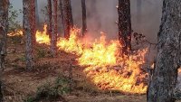 Пожар тръгна в гората над Свети Влас