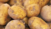 Задигнаха близо 150 тона картофи в Полша след слух, че са безплатни
