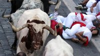 Биковете намушкаха мъж на Сан Фермин, седем други са ранени 