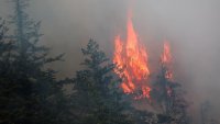 Европа се подготвя за сезона на горските пожари 