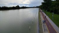 Белият амур спаси Гребния канал в Пловдив от водораслите