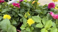 Предимно слънчево, със слаб вятър и температури до 30&deg; ще е утре