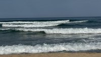 "Грийнпийс" регистрира 170 нефтени петна за година в Черно море