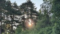 Седмицата стартира със слънчево и горещо време