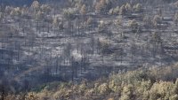 Митов: Пожарите у нас намаляват, най-сложна остава обстановката в Струмяни