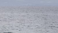 Мъж от София се удави в морето в Царево
