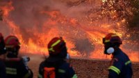 Атика е загубила 42% от горите си заради пожари само за 10 години
