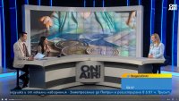Притеснително: Все по-голям брой хора се доближават до минималната пенсия