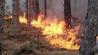 И днес продължава борбата с пожара в парк "Рила"