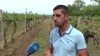 Градушката в Асеновградско нанесе щети за хиляди