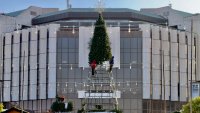 Огромна коледна елха се появи пред НДК СНИМКИ