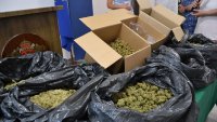 Откриха помещение за отглеждане на марихуана в “Студентски град”