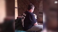 Потресаващо: Сигнали за блудство с кучета втрещиха Казанлък