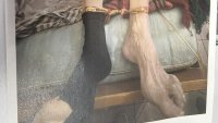 Властите с шокиращи подробности за дома за стари хора в с. Ягода