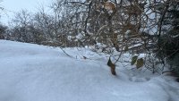 Без ток останаха Берковица и селата в общината 