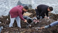 Златна треска напразна, в отнесения сейф в Царево имало 21 000 лв.