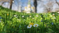 Времето в събота: Слънчево и почти лятно