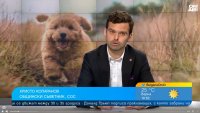 Зачестяват проверките: София затяга контрола над собствениците на кучета 