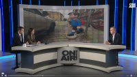 Защо изпочупиха и махнаха детските фигури от пешеходните пътеки в София?