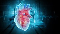 Кардиолог съветва какво да избягваме за здраво сърце