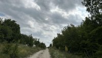 Вместо черната пантера - куче и котка: Свикаха кризисен щаб в Силистра