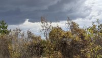 Над Източна България облачността ще се увеличи, ще вали дъжд