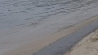 Община Поморие: Няма нефтени разливи на плажовете ни