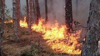 Пламна голям пожар в гора край Харманли