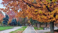 Времето през ноември: От минус 5° до 25°, с валежи около нормата