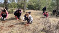 Екип на ЦКБ засади 180 фиданки от бял бор в еко инициатива до Перник